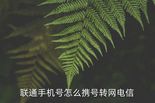 聯(lián)通手機(jī)號(hào)怎么攜號(hào)轉(zhuǎn)網(wǎng)電信