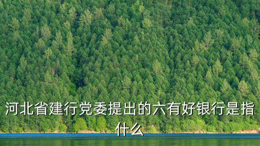 河北省建行黨委提出的六有好銀行是指什么