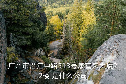 廣州市沿江中路313號康富來大廈22樓 是什么公司