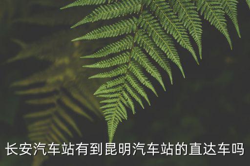 東莞市長安總站到昆明，長安汽車站有到昆明汽車站的直達車嗎