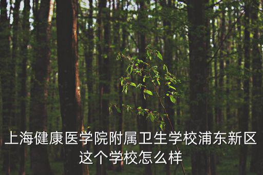 上海健康醫(yī)學(xué)院附屬衛(wèi)生學(xué)校浦東新區(qū)這個學(xué)校怎么樣
