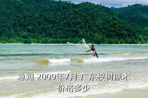 急知 2009年7月 廣東桉樹原木價(jià)格多少