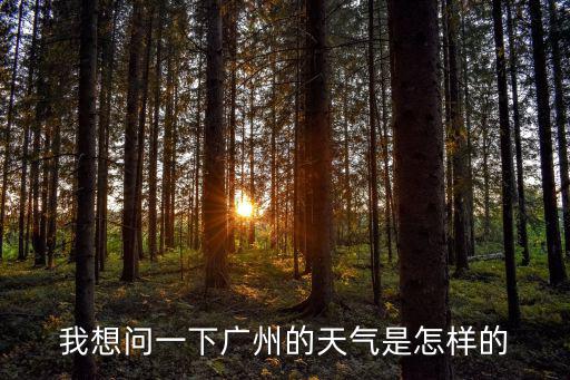 我想問一下廣州的天氣是怎樣的