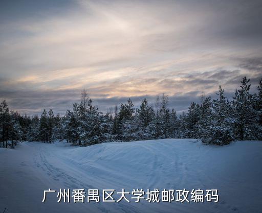 廣州番禺區(qū)大學(xué)城郵政編碼