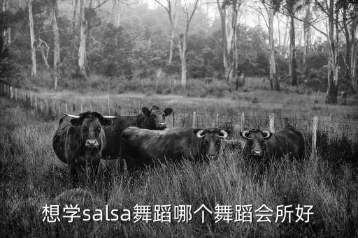 想學salsa舞蹈哪個舞蹈會所好
