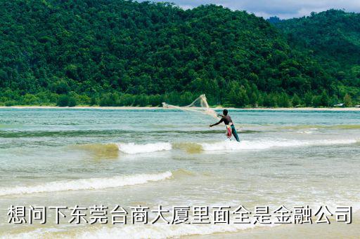 想問下東莞臺商大廈里面全是金融公司