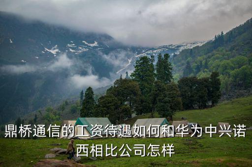鼎橋通信的工資待遇如何和華為中興諾西相比公司怎樣