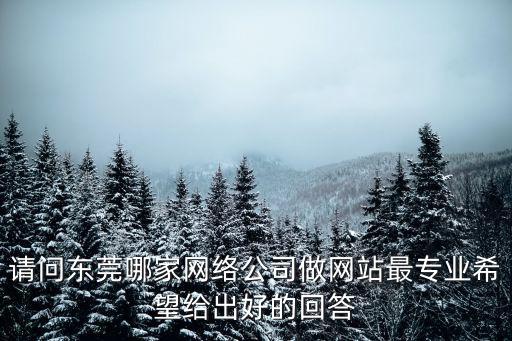 東莞做網站，請問東莞哪家網絡公司做網站最專業希望給出好的回答