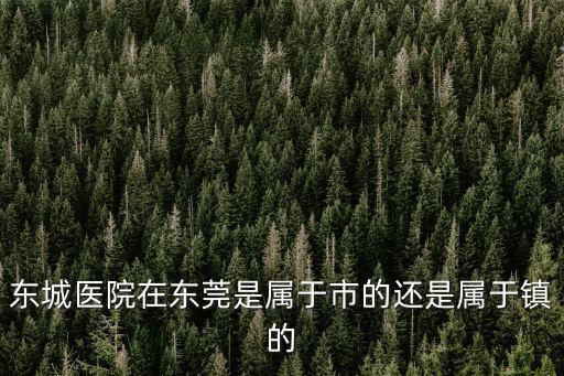 東城醫院在東莞是屬于市的還是屬于鎮的