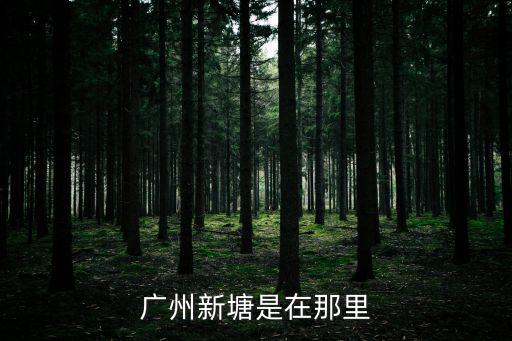 廣州新塘是在那里