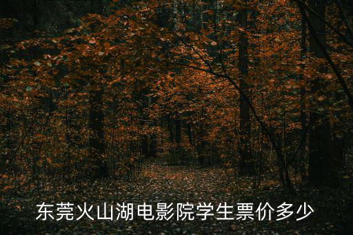 東莞火山湖電影院學(xué)生票價多少