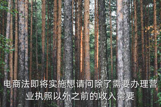 電商法即將實施想請問除了需要辦理營業執照以外之前的收入需要