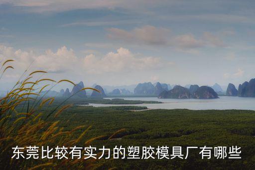 東莞比較有實力的塑膠模具廠有哪些
