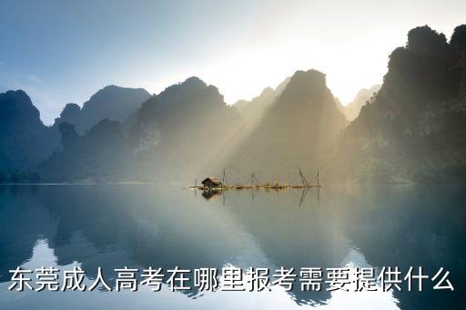 東莞成考網(wǎng)，東莞成考網(wǎng)是主要有什么成人高考課程可以報(bào)名和培訓(xùn)的呢