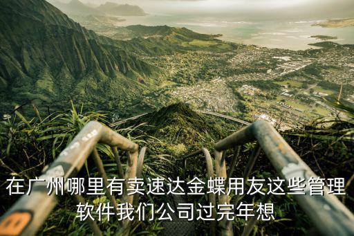 廣州用友軟件，在廣州哪里有賣速達金蝶用友這些管理軟件我們公司過完年想