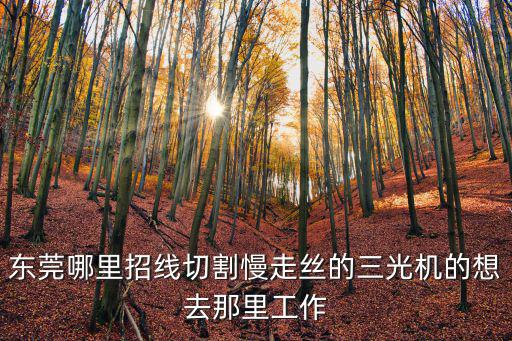 東莞哪里招線切割慢走絲的三光機的想去那里工作