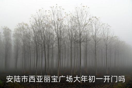 安陸市西亞麗寶廣場大年初一開門嗎