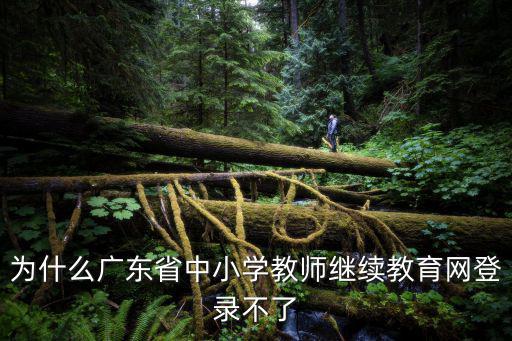 廣州教師繼續教育，為什么廣東省中小學教師繼續教育網登錄不了