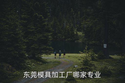 東莞模具加工廠哪家專業