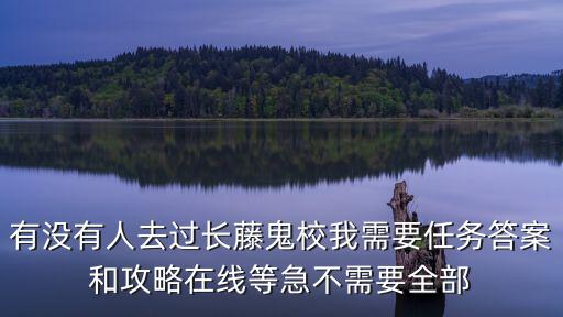 有沒(méi)有人去過(guò)長(zhǎng)藤鬼校我需要任務(wù)答案和攻略在線等急不需要全部
