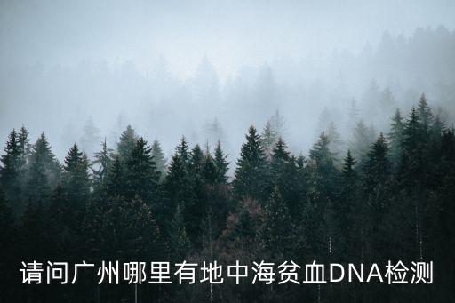 請問廣州哪里有地中海貧血DNA檢測