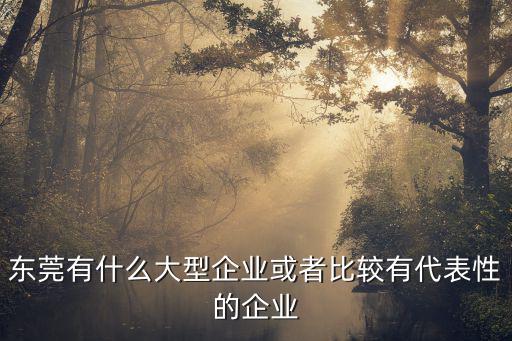 東莞有什么大型企業或者比較有代表性的企業