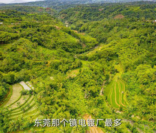 東莞那個鎮電鍍廠最多