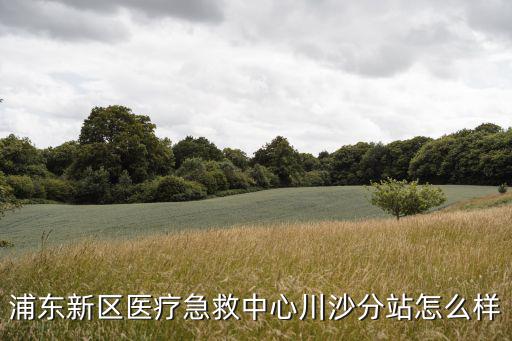 川沙分站，川沙客運總站叫什么名字