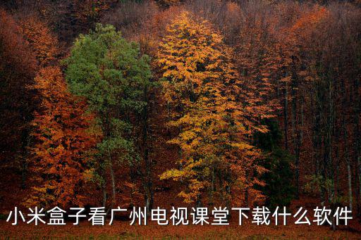 小米盒子看廣州電視課堂下載什么軟件