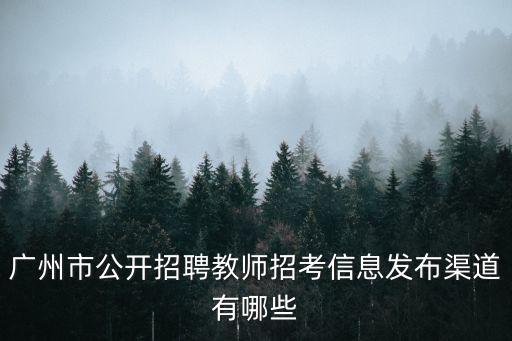 廣州市公開招聘教師招考信息發布渠道有哪些