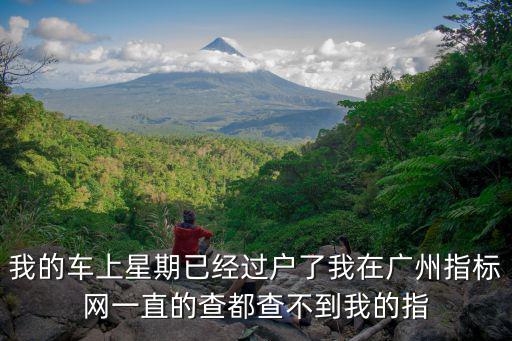 我的車上星期已經過戶了我在廣州指標網一直的查都查不到我的指