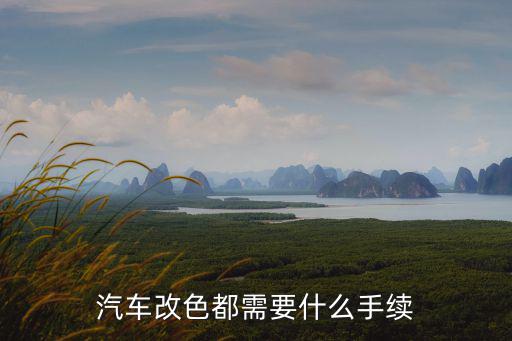 汽車改色都需要什么手續