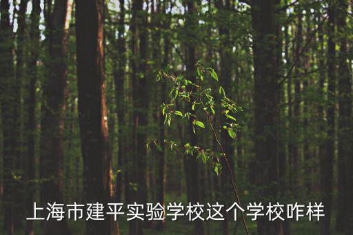 泗涇實驗學校，洞涇學校和泗涇學校哪家好