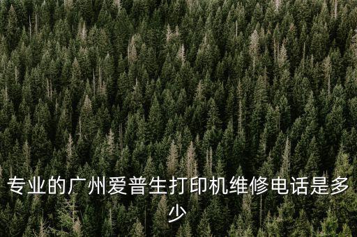專業(yè)的廣州愛普生打印機(jī)維修電話是多少