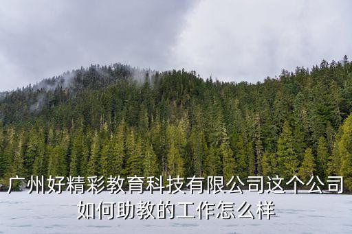 廣州好精彩教育科技有限公司這個公司如何助教的工作怎么樣