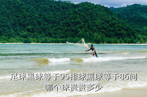 足球黑球等于95排球黑球等于86問哪個球貴貴多少