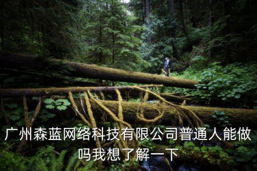 廣州森藍網絡科技有限公司普通人能做嗎我想了解一下