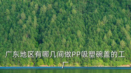 廣東地區有哪幾間做PP吸塑碗蓋的工廠