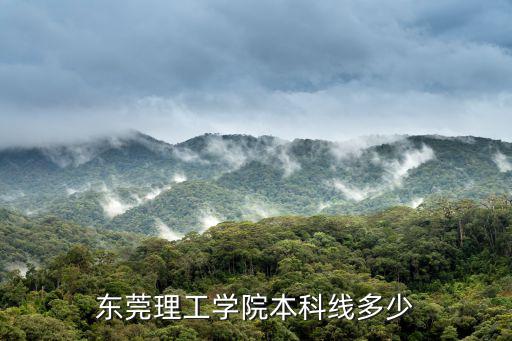 東莞理工學(xué)院本科線多少