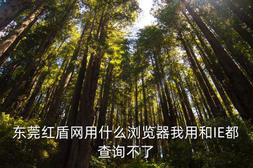 東莞紅盾網用什么瀏覽器我用和IE都查詢不了