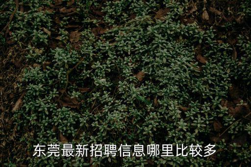 東莞最新招聘信息哪里比較多