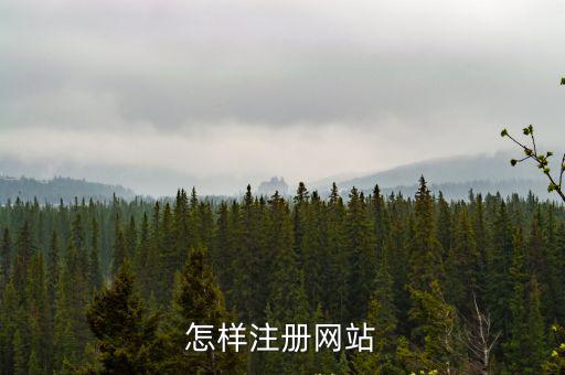 怎樣注冊網站