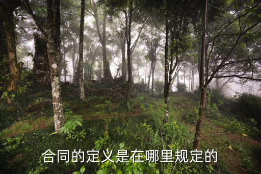 合同的定義是在哪里規(guī)定的