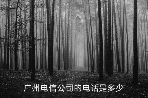 廣州電信公司的電話是多少