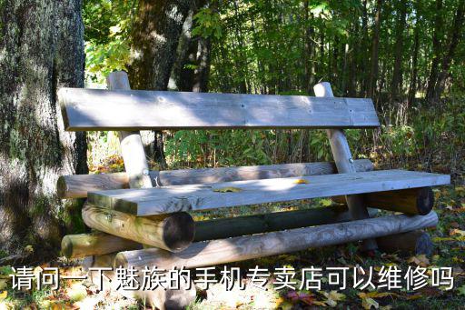 請問一下魅族的手機專賣店可以維修嗎