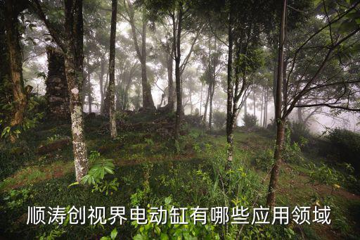 順濤創視界電動缸有哪些應用領域