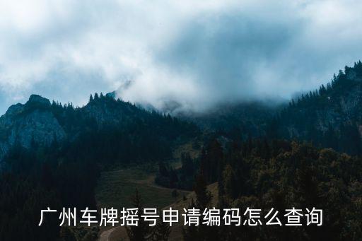 廣州車牌搖號(hào)申請編碼怎么查詢