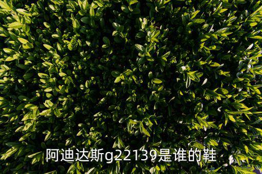 g7319，阿迪達斯g22139是誰的鞋