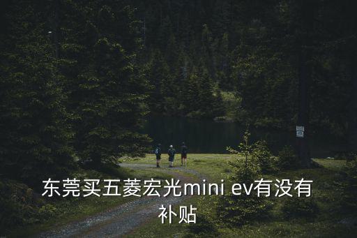 東莞買五菱宏光mini ev有沒有補貼