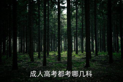 成人高考都考哪幾科